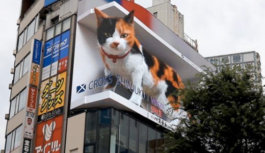 世界のLEDサイネージ活用事例！ ~新宿の巨大猫~